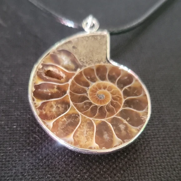 Elegant Silver Ammonite Pendant Necklace - Picture 2 of 3